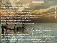 /album/a-minha-cidade-natal/sobrevivente-jpg/