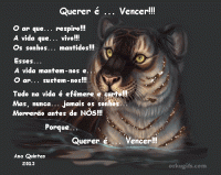 /album/a-minha-cidade-natal/tigre-no-rio-1449-gif/