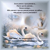 /album/galeria-de-fotos%3a-continua%c3%a7%c3%a3o/voa-imagem-01-jpg/