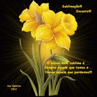 /album/galeria-de-fotos%3a-continua%c3%a7%c3%a3o/orquidea8-gif/